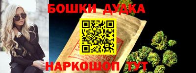 тгк Бийск