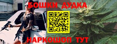 тгк Бийск