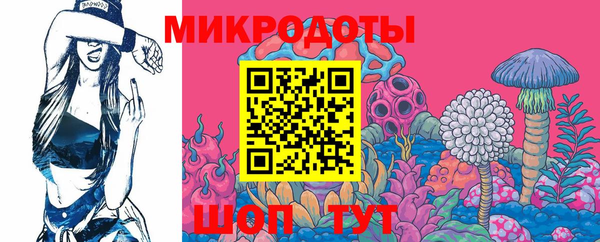 Галлюциногенные грибы Psilocybine cubensis Горно-Алтайск